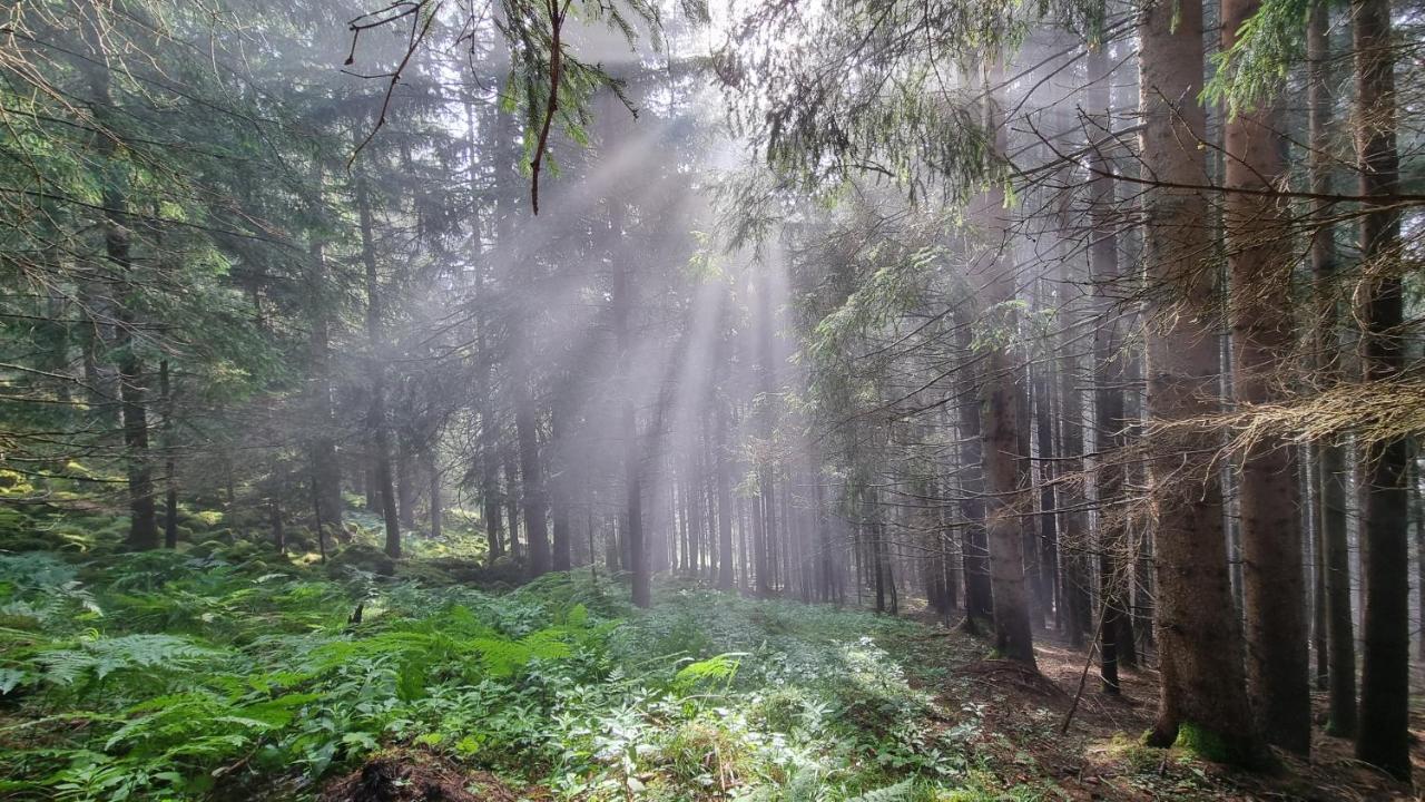 Ferienwohnungen Rabensteiner Bad Kleinkirchheim Exterior foto