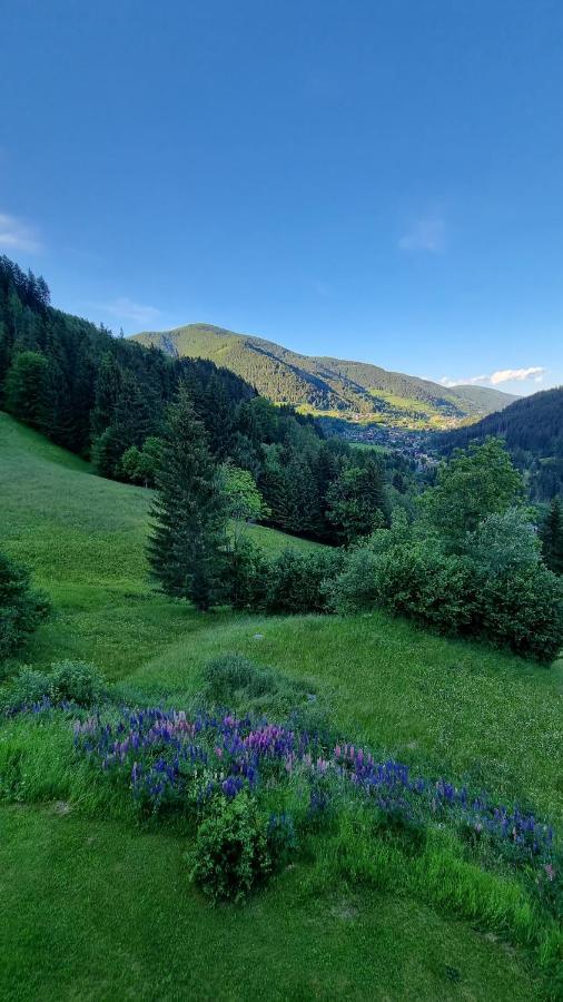 Ferienwohnungen Rabensteiner Bad Kleinkirchheim Exterior foto